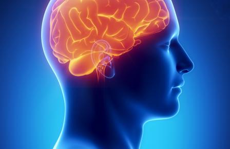 Neurologie